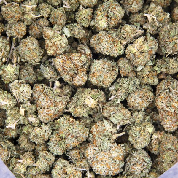 Alternative view of Garlic Breath (smalls) AA