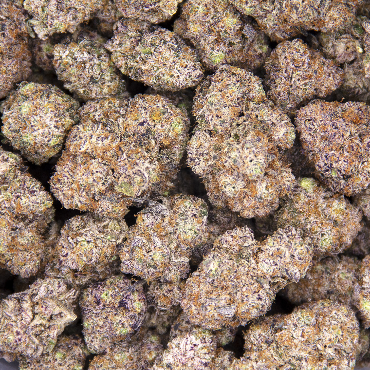 Grape Gushers AAAA - Image 3