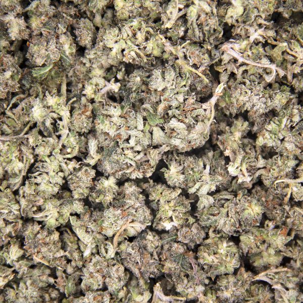 Alternative view of Hindu Kush (popcorn) AA