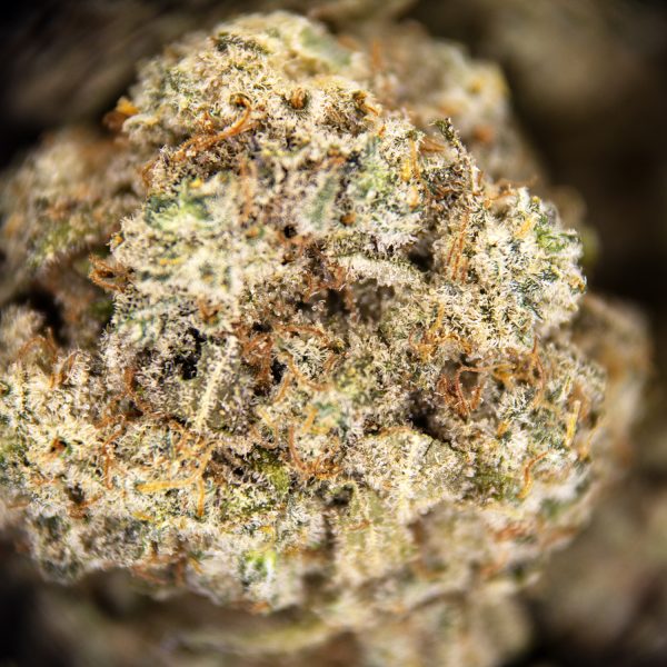 Alternative view of Silver Haze (popcorn) AA