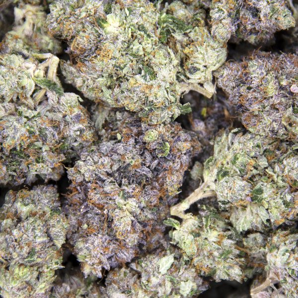 Alternative view of Black Tuna AAA