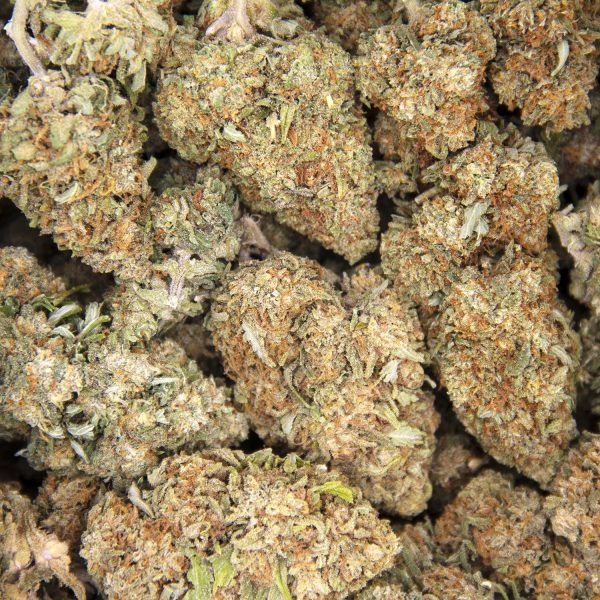Alternative view of Citrus Haze AA