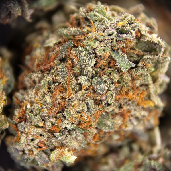 Alternative view of Lemon Kush (smalls) AA