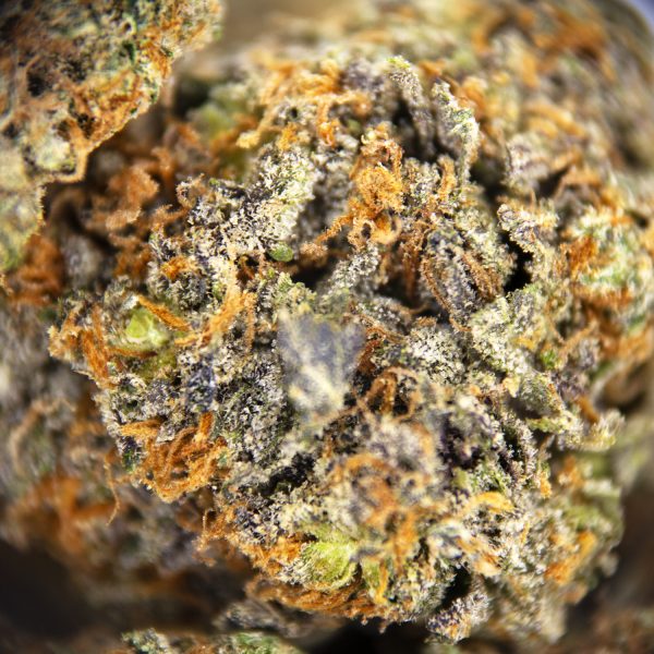 Alternative view of Lucky Charms (mediums) AAA