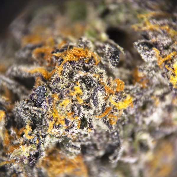 Alternative view of Purple Space Cookies AAA