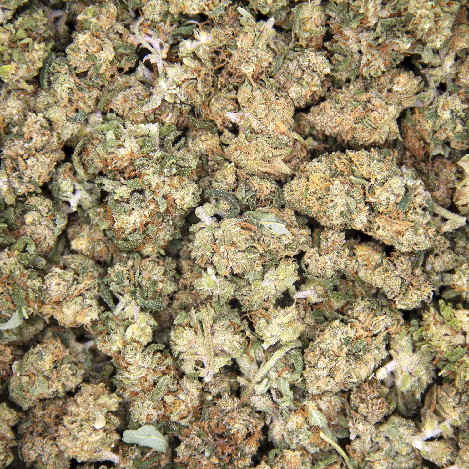 Sour Haze (smalls) AA - Image 2